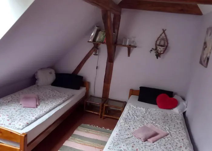 Guest house Hajovna U Dubu 3*