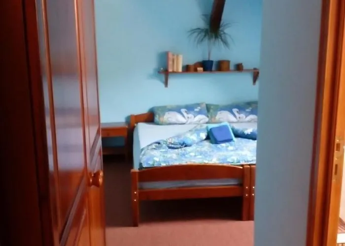 Guest house Hajovna U Dubu 3*