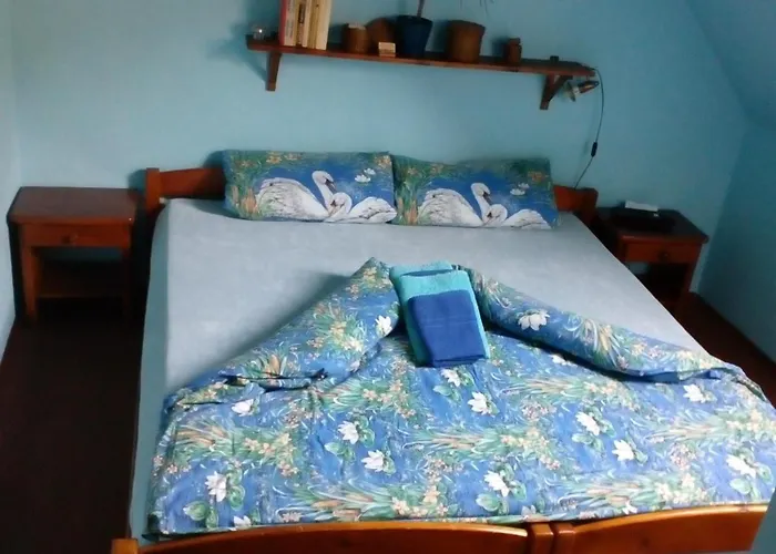 Guest house Hajovna U Dubu 3*